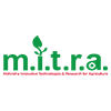 digital marketing company